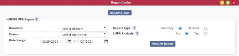 home health lupa definition