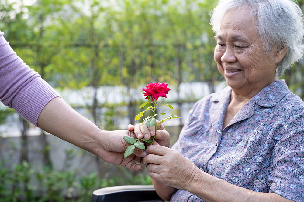 One of the therapies that has been integrated into the public consciousness during the pandemic, and is ideal for most home care clients, is ecotherapy.